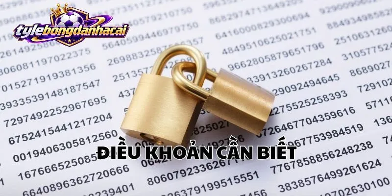 dieu khoan dieu kien Nội dung Điều Khoản Điều Kiện